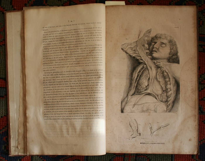 Charles Bell's 1798 System of dissections