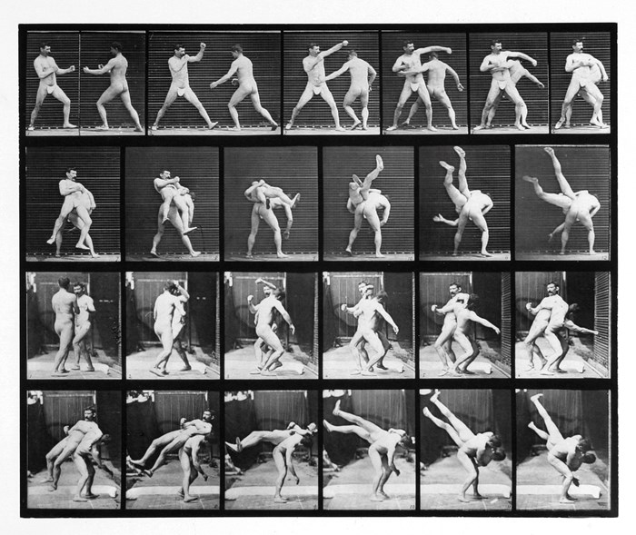Muybridge's 1887 Animal locomotion